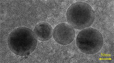 Discovery of Novel Markers for Identifying Cognitive Decline Using Neuron-Derived Exosomes